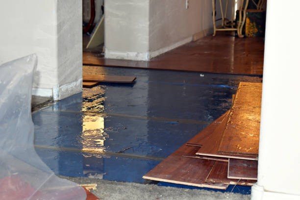 Professional Water Extraction technician working in Kirby, TX
